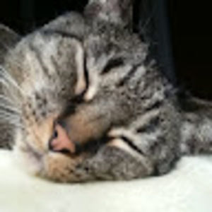 Meet your Posher, Layla